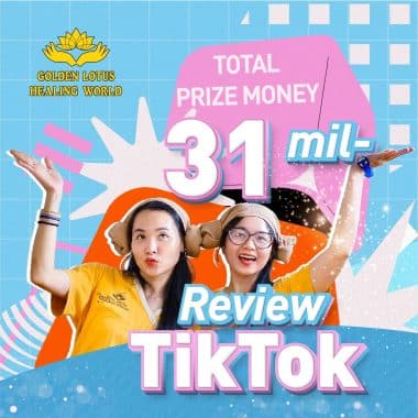 WHAT'S FUN ABOUT TIKTOK REVIEW - HEALING WORLD