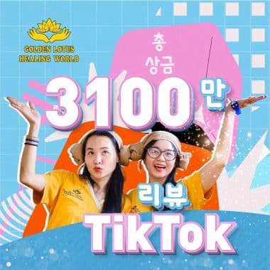 틱톡 리뷰 - 힐링 월드의 재밌는 점은 무엇일까요